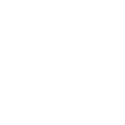 Chat Bot